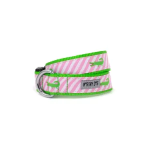 Alligator Collar