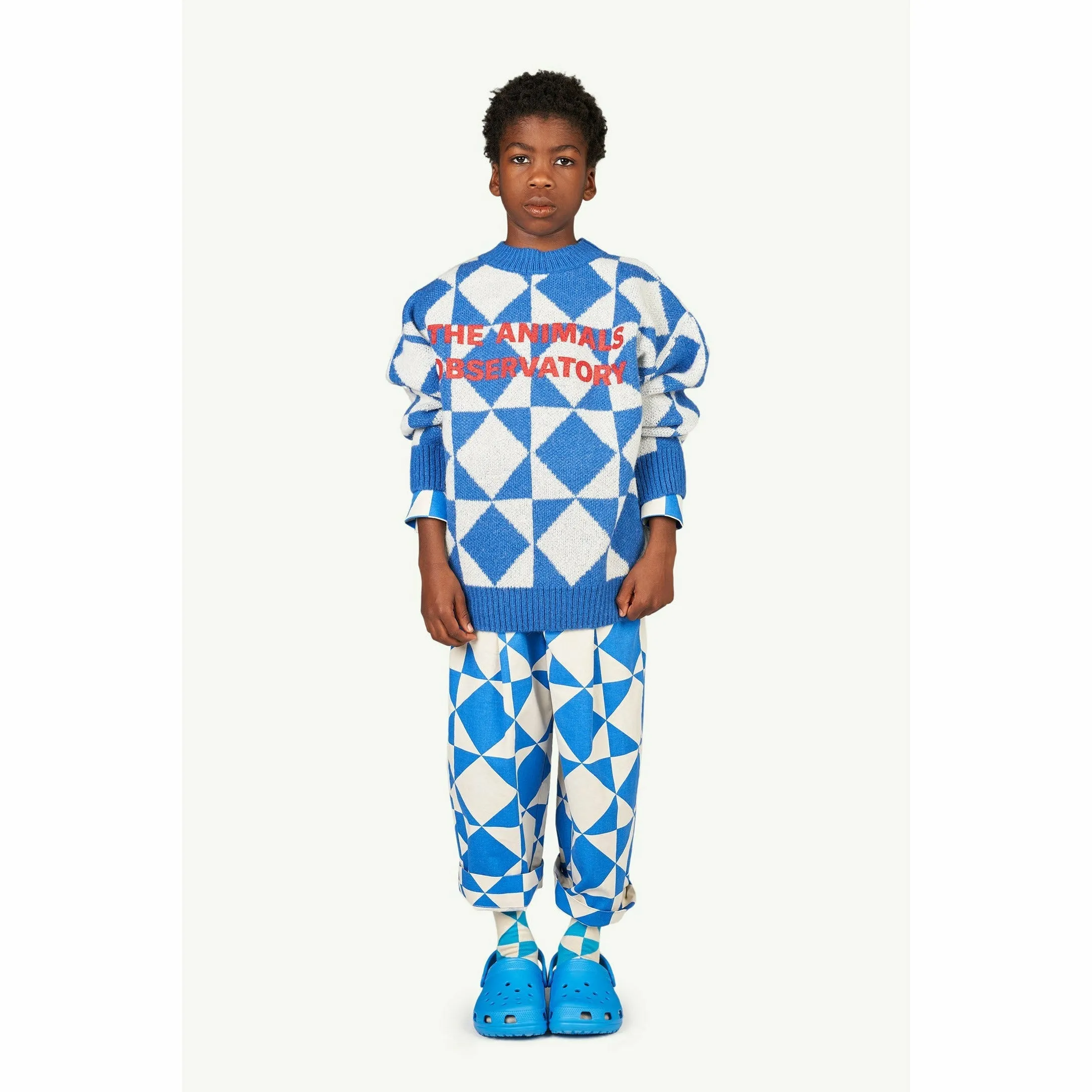 Arty Bull Kids Sweater - Bicolor The Animals Observatory