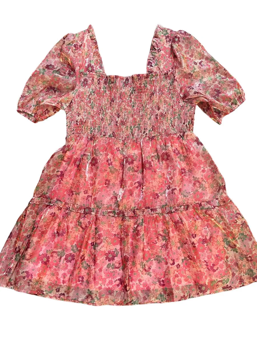 Blush Mix Organza Mini Dress