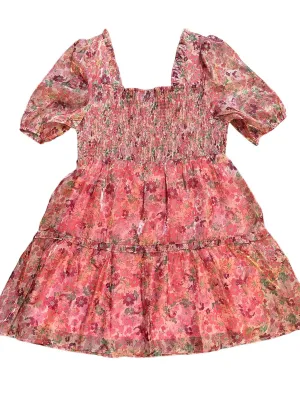 Blush Mix Organza Mini Dress