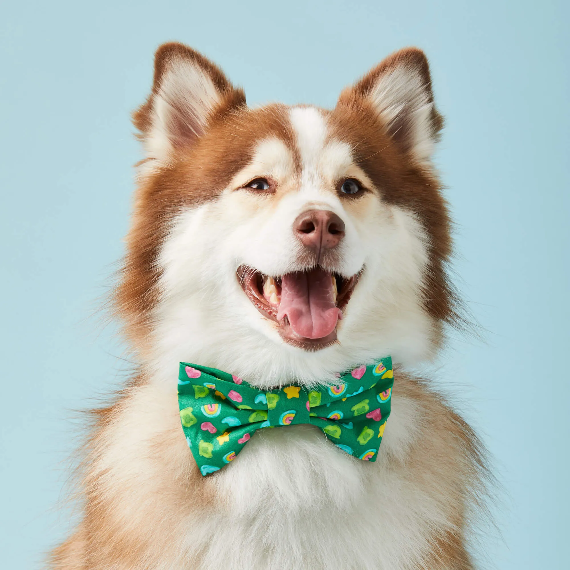 Charmed Dog Bow Tie