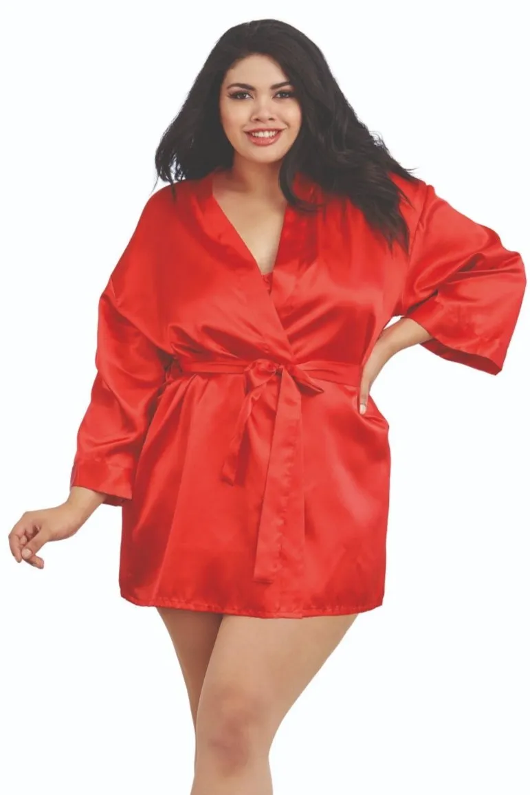 Plus Size Satin Robe and Chemise Set