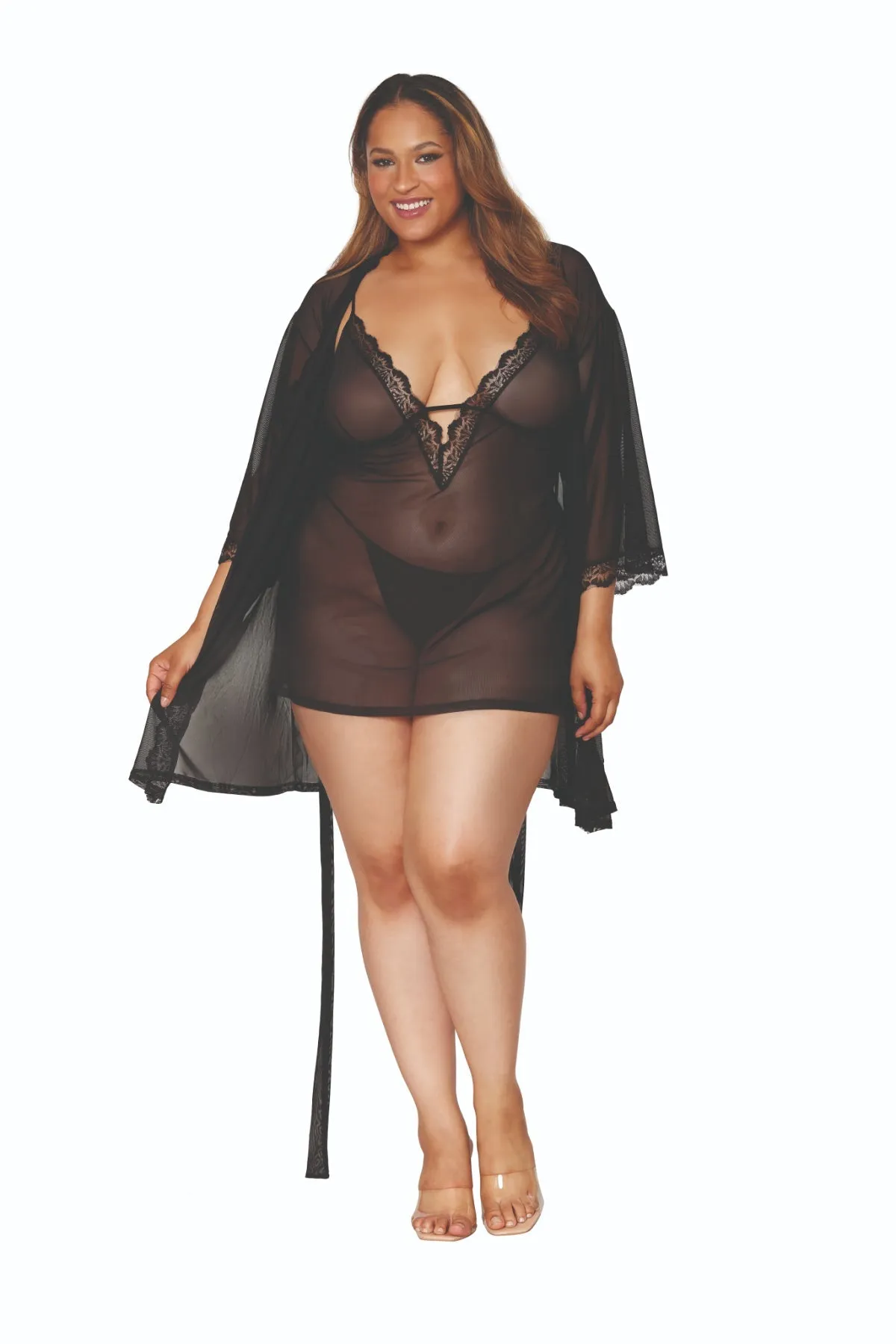 Plus Size Sheer Chemise and Robe Collection