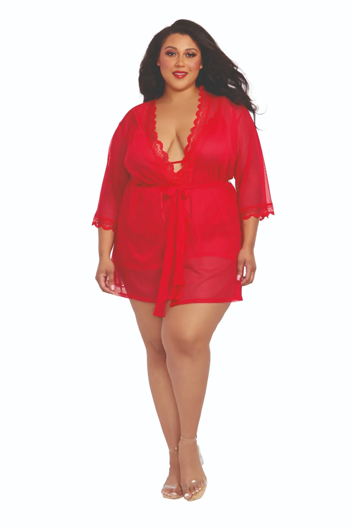 Plus Size Sheer Chemise and Robe Collection