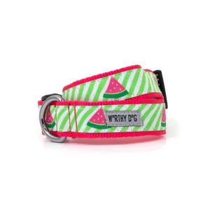 Watermelon Collar